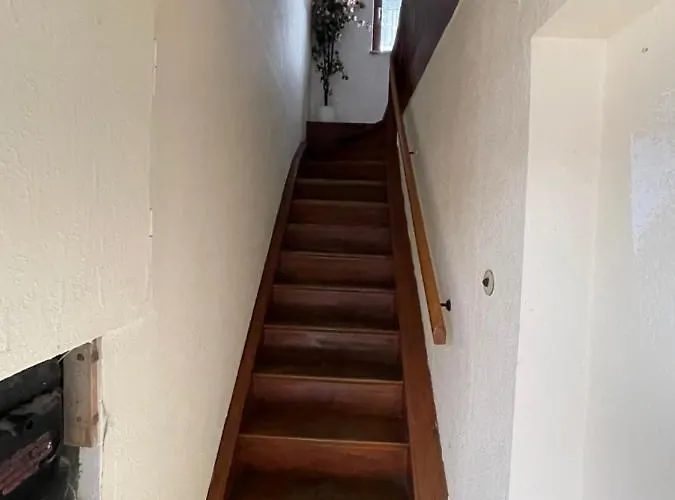 Bollgarten 8 شقة كولونيا